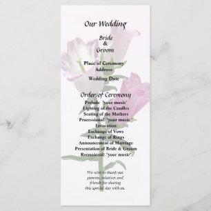 Pink Canterbury Bells Programme