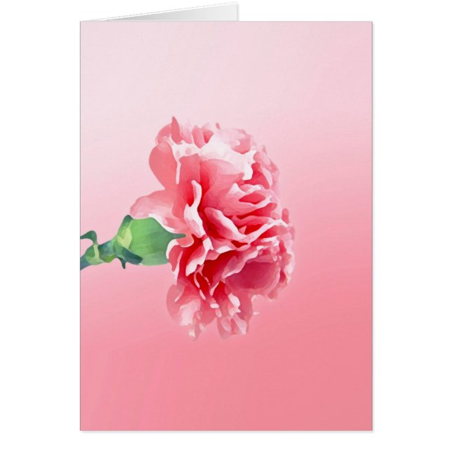 Pink carnation (Front)