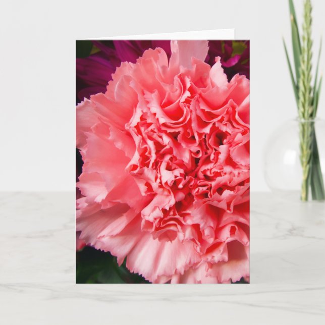 "Pink Carnation 1." Greeting Card (Front)
