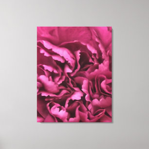 Pink Carnation Canvas Print