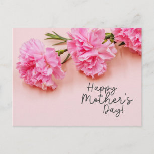 Pink Carnation  flowers for Mum on Mother's Day Postcard