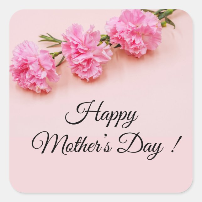 Pink carnation flowers Mother's Day mum on pink Square Sticker (Front)