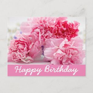 Pink Carnation on pink background Postcard