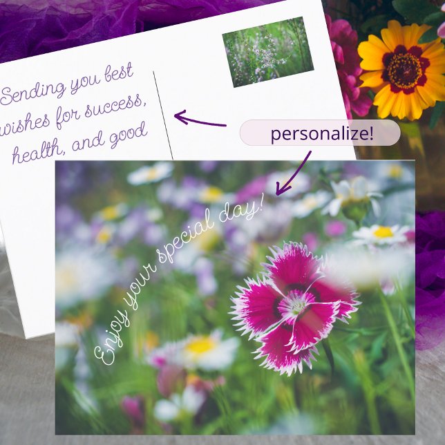 Pink carnation with daisies holiday postcard (Creator Uploaded)