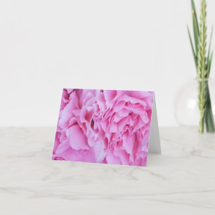 Pink Carnations Blooms Note Card Sets