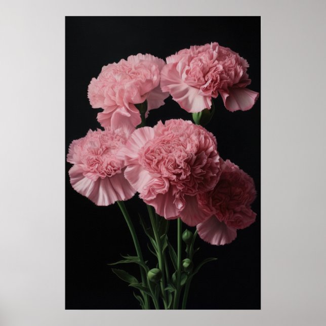 Pink Carnations Flower Art Print Poster (Front)