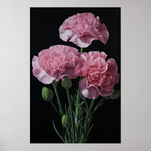 Pink Carnations Flower Art Print Poster