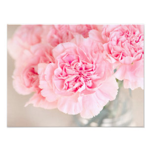Pink Carnations Photo Print