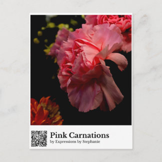 Pink Carnations Postcard