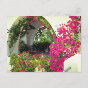 Pink Casa car port, Moraira, Costa Blanca flowers Postcard