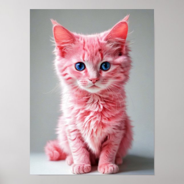 Pink Cat  Poster (Front)