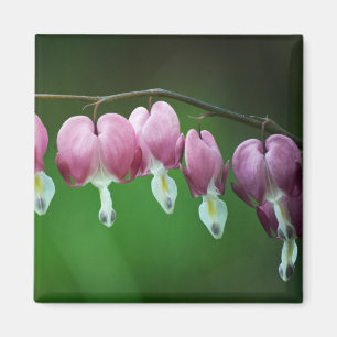 Pink Charms Magnet