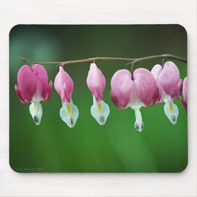 Pink Charms Mousepad (Front)