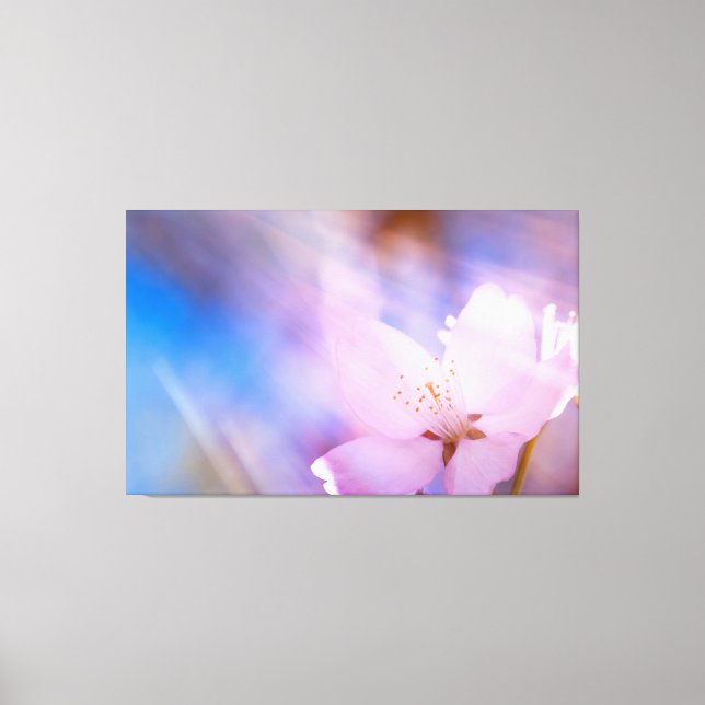 Pink cherry blossom canvas print (Front)