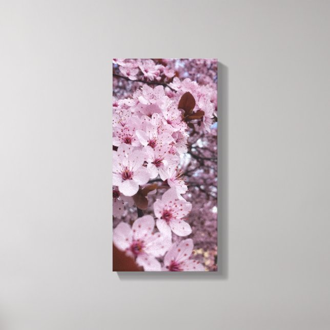 Pink Cherry Blossom Canvas Wall Art – Sakura Tree  (Front)