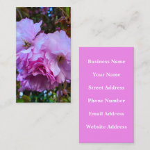 Pink Cherry Blossom Flowers