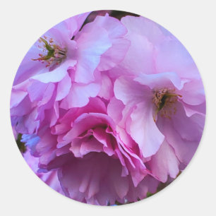 Pink Cherry Blossom Flowers Classic Round Sticker