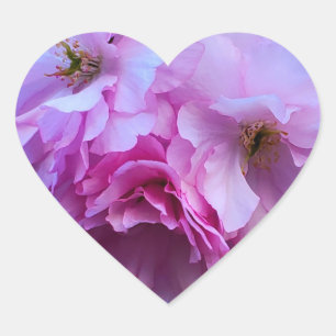 Pink Cherry Blossom Flowers Heart Sticker