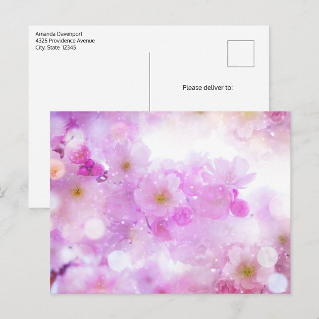 Pink Cherry Blossom Flowers Photo Postcard (Front/Back)