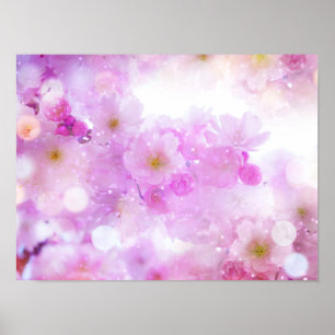 Pink Cherry Blossom Flowers Photo Poster