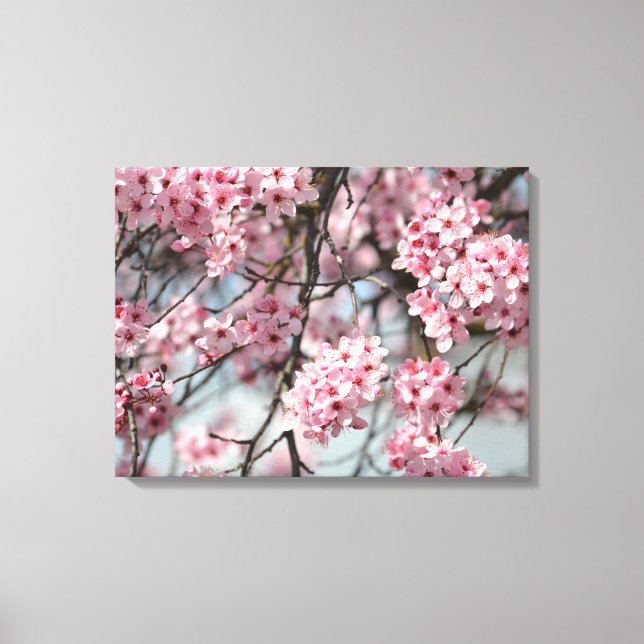 Pink Cherry Blossom Flowers Tree Canvas Print (Front)