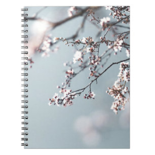 PINK CHERRY BLOSSOM IN CLOSE UP PHOTOGRAPHY NOTEBOOK