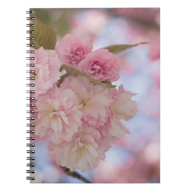 PINK CHERRY BLOSSOM IN CLOSE UP PHOTOGRAPHY NOTEBOOK (Front)