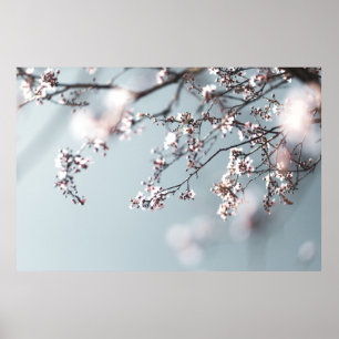 PINK CHERRY BLOSSOM IN CLOSE UP PHOTOGRAPHY POSTER