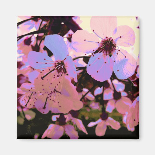 Pink Cherry Blossom Magnet (Front)