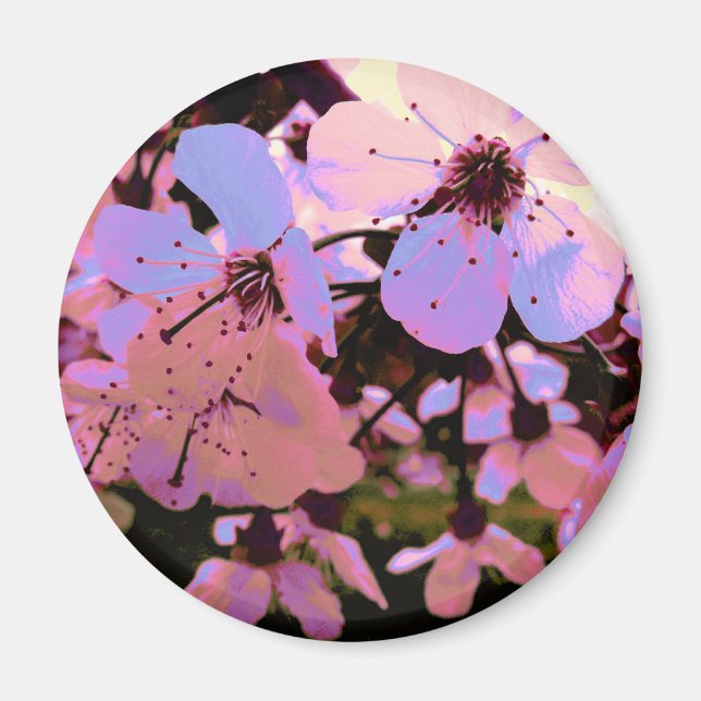 Pink Cherry Blossom Magnet (Front)