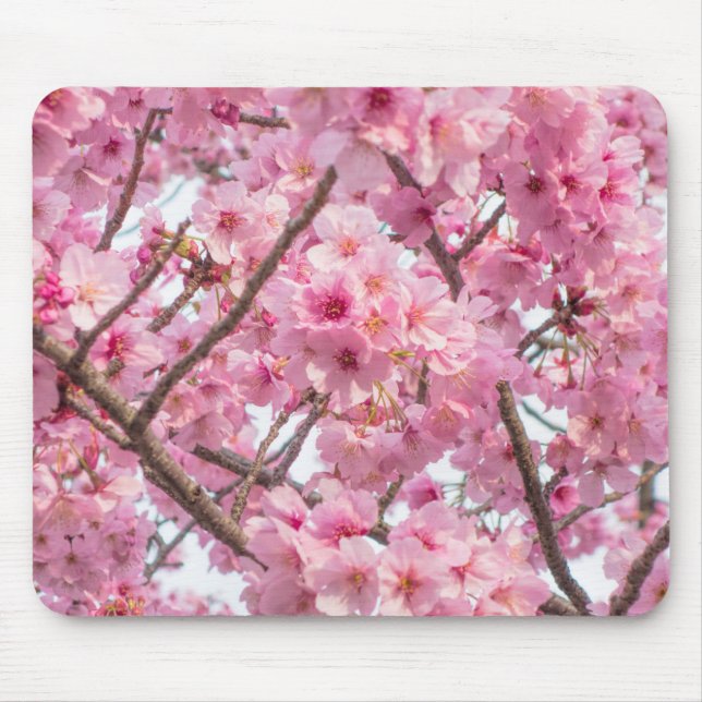 Pink Cherry Blossom Mouse Mat (Front)