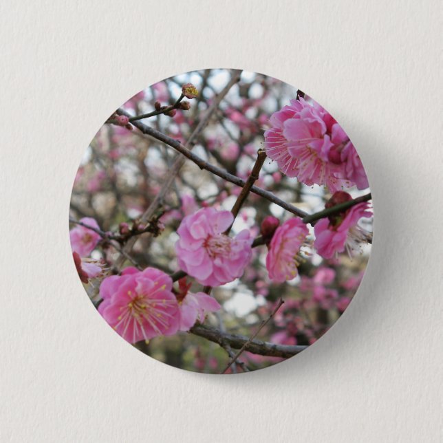 Pink Cherry Blossom / Sakura / サクラ（桜) 6 Cm Round Badge (Front)