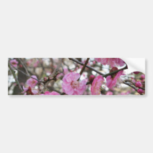 Pink Cherry Blossom / Sakura / サクラ(桜) Bumper Sticker