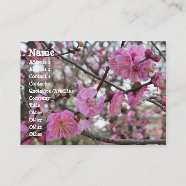 Pink Cherry Blossom / Sakura / サクラ（桜) Business Card (Front)