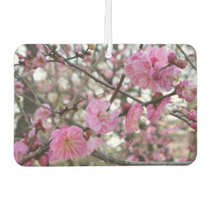 Pink Cherry Blossom / Sakura / サクラ(桜) Car Air Freshener