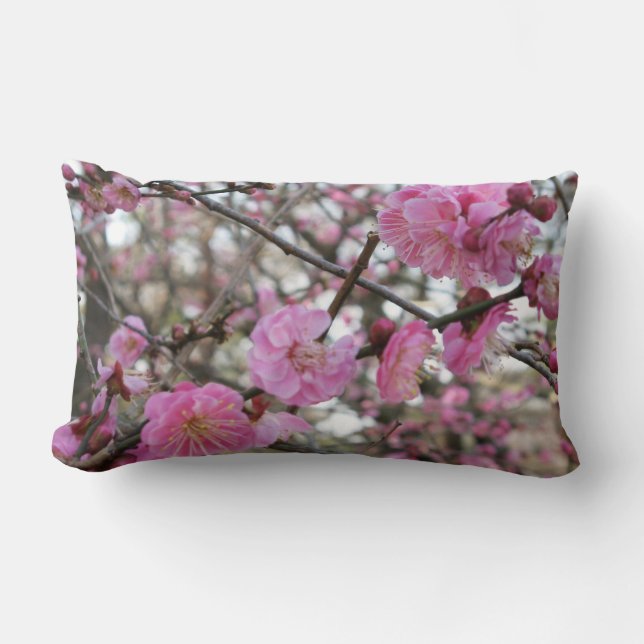 Pink Cherry Blossom / Sakura / サクラ（桜) Lumbar Cushion (Front)