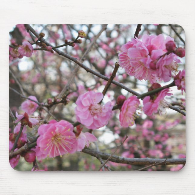 Pink Cherry Blossom / Sakura / サクラ（桜) Mouse Mat (Front)