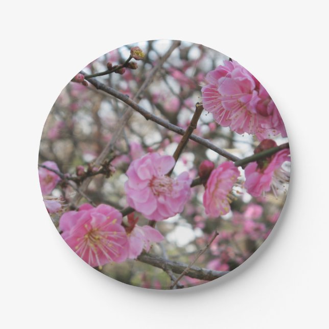 Pink Cherry Blossom / Sakura / サクラ（桜) Paper Plate (Front)