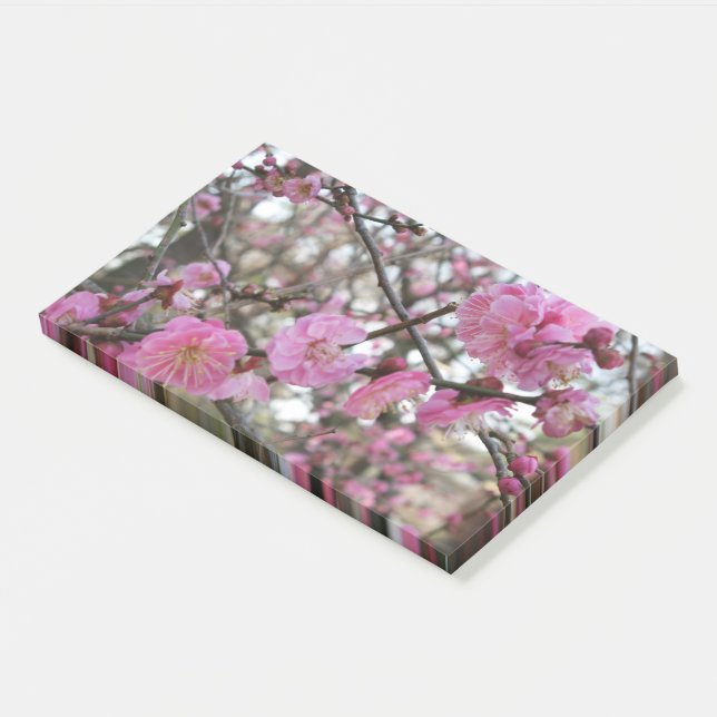 Pink Cherry Blossom / Sakura / サクラ（桜) Post-it Notes (Angled)
