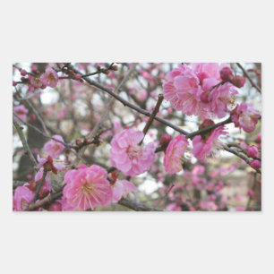 Pink Cherry Blossom / Sakura / サクラ（桜) Rectangular Sticker