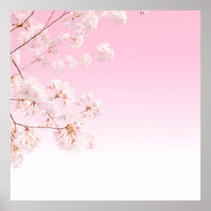 Pink Cherry Blossom Spring Serenity Poster