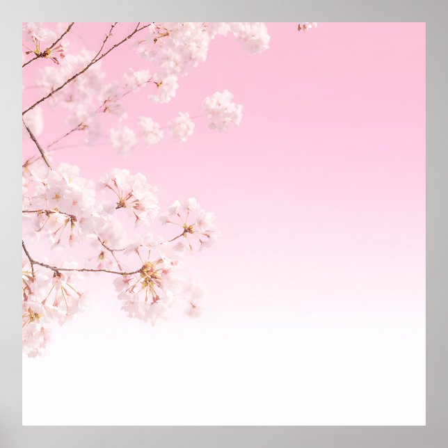 Pink Cherry Blossom Spring Serenity Poster (Front)