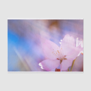 Pink cherry blossom tissue paper