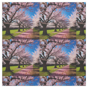 Pink Cherry Blossom Tree Lane, Fabric