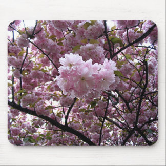 Pink Cherry Blossom Tree Photo Mouse Mat