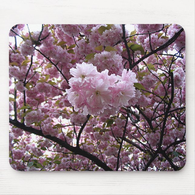 Pink Cherry Blossom Tree Photo Mouse Mat (Front)