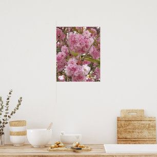 Pink Cherry Blossoms Floral Poster