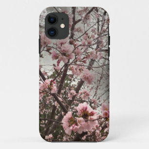 Pink Cherry Blossoms iPhone 5/5s Case