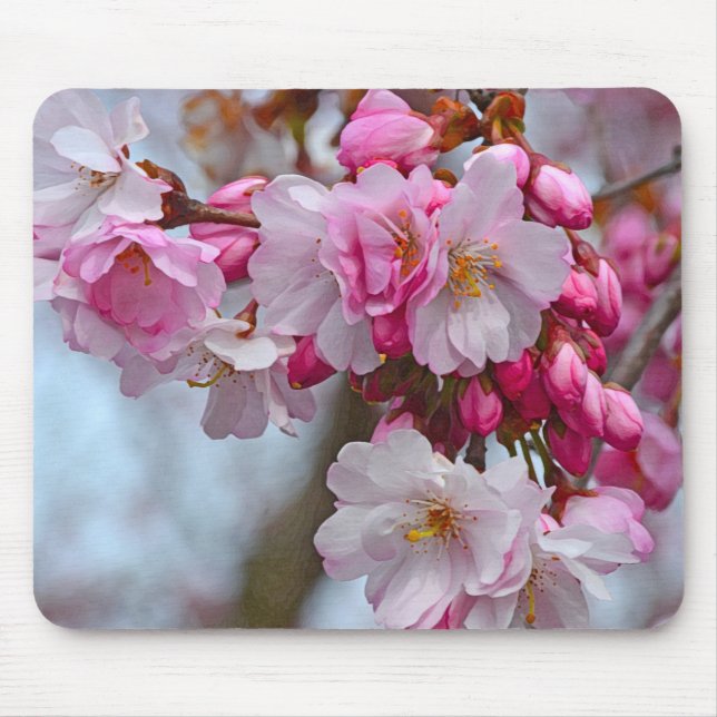 Pink cherry blossoms mouse mat (Front)