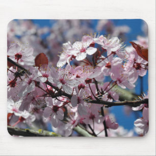 Pink cherry blossoms mouse mat